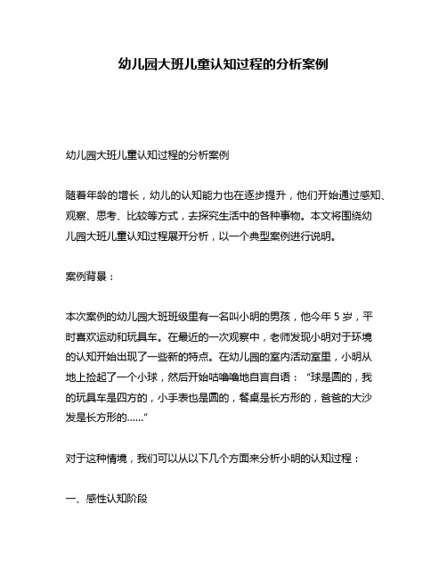 幼儿园大班儿童认知过程的分析案例