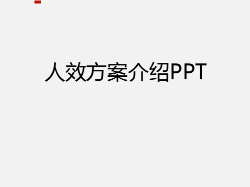 人效方案介绍PPT
