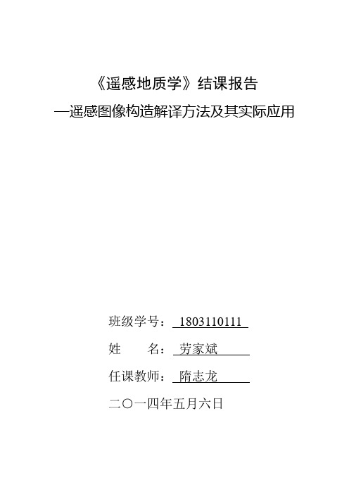 遥感地质报告