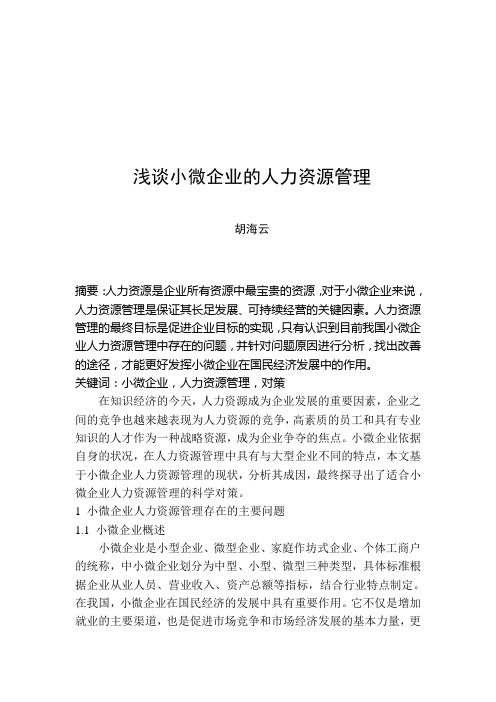 小微企业的人力资源管理----胡海云