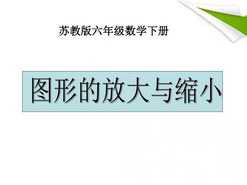 六年级数学下册 图形的放大与缩小 5课件 苏教版