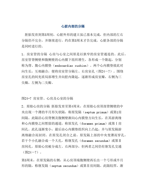 心脏内部的分隔