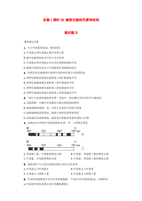 内蒙古杭锦后旗奋斗中学高中生物 课时20 捕获光能的色素和结构课后练习 新人教版必修1