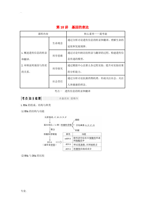 高考生物总复习 第18讲 基因的表达教案-人教版高三全册生物教案
