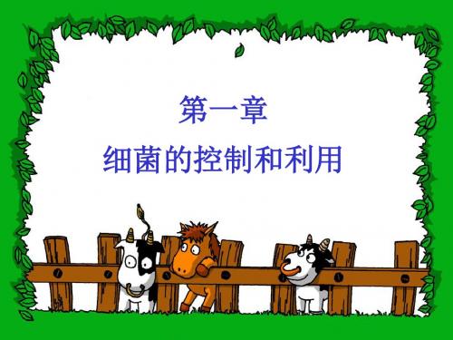 【初中生物】细菌的控制和利用