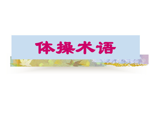《体操术语》PPT课件