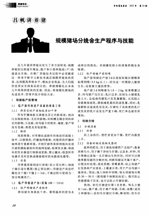 规模猪场分娩舍生产程序与技能