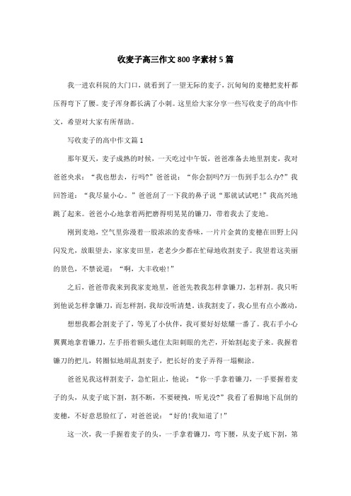 收麦子高三作文800字素材5篇