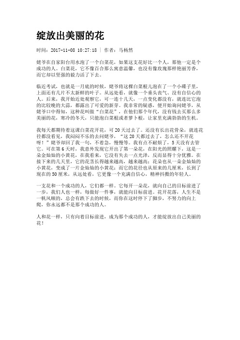绽放出美丽的花
