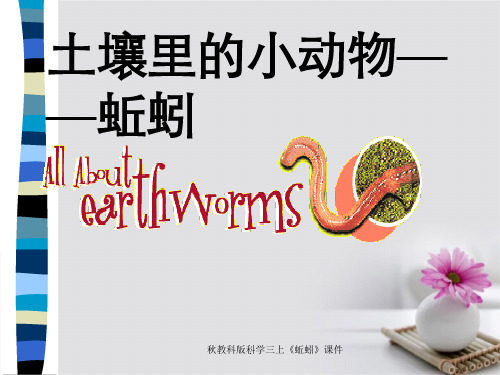 秋教科版科学三上《蚯蚓》课件