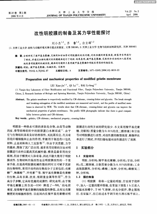 改性明胶膜的制备及其力学性能探讨