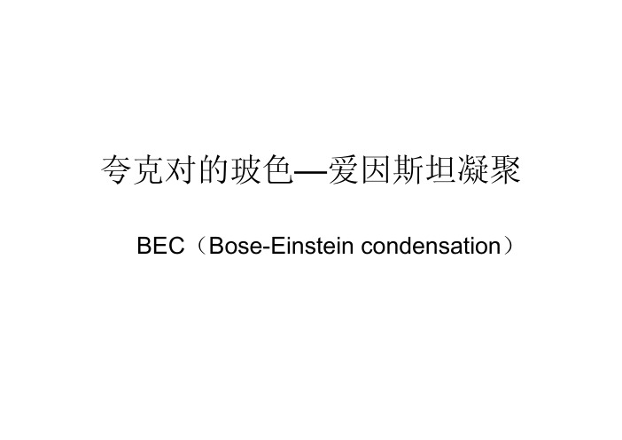 夸克对的玻色—爱因斯坦凝聚