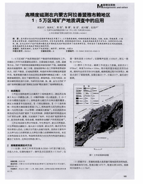 高精度磁测在内蒙古阿拉善盟雅布赖地区1：5万区域矿产地质调查中的应用