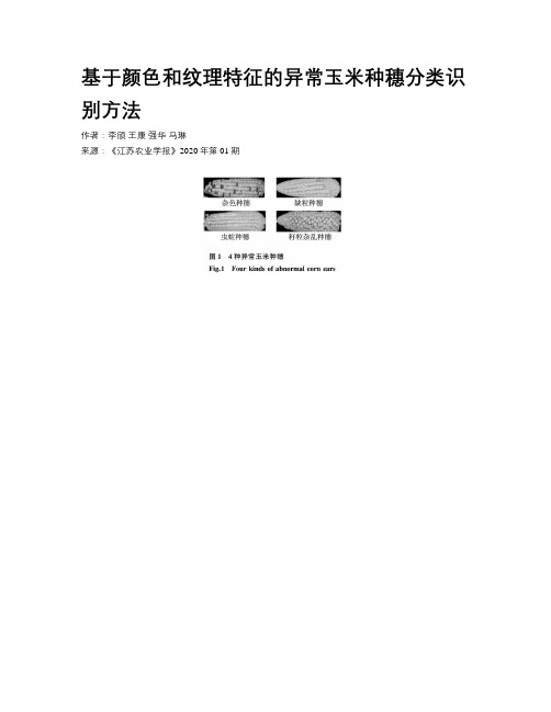 基于颜色和纹理特征的异常玉米种穗分类识别方法