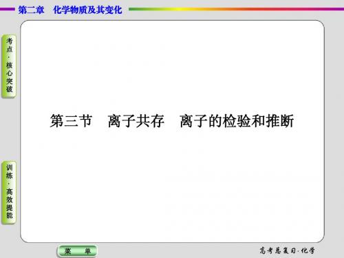【导学教程】2015届高考化学总复习课件：2-3离子共存 离子的检验和推断
