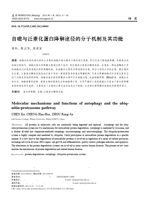 自噬与泛素化蛋白降解途径的分子机制及其功能