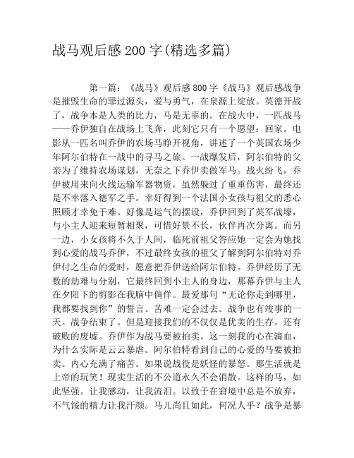 战马观后感200字(精选多篇)