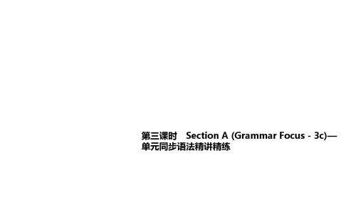 人教版七年级英语上册第三课时 Section A (Grammar Focus-3c)—单元语法精讲练