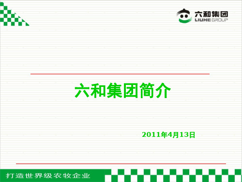 六和集团简介2011年4月