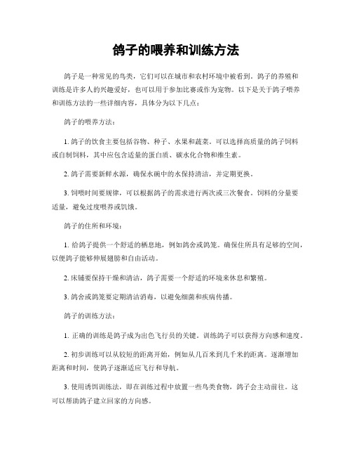 鸽子的喂养和训练方法