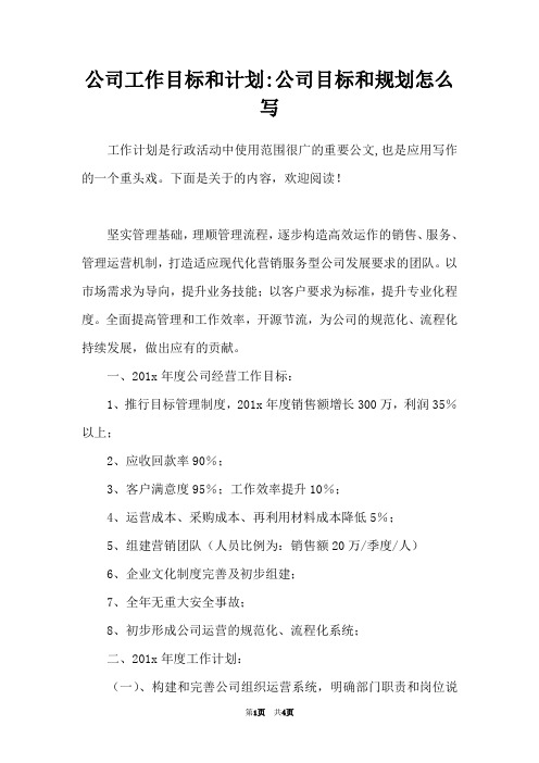 公司工作目标和计划-公司目标和规划怎么写