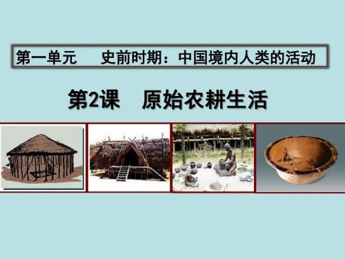 人教部编版七年级上册历史课件第二课原始农耕生活共32张