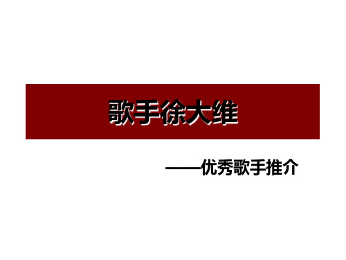 徐大维-南昌民歌歌手