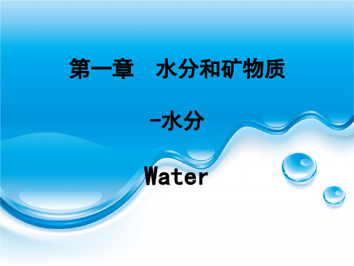 食品化学_2水分
