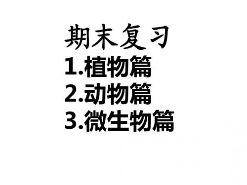 1. 10 本册综合 课件 (鲁科版七年级上)