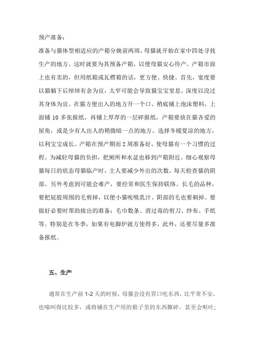 猫咪预产准备