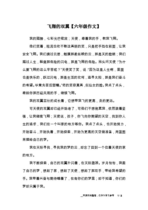 飞翔的双翼【六年级作文】