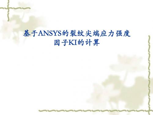 裂纹尖端断裂力学参数计算-资料