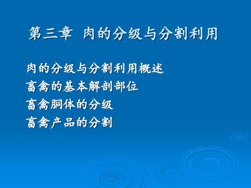 肉制品工艺学肉的分割与分级