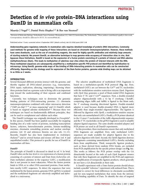 Detection of in vivo protein–DNA interactions using DamID in mammalian cells
