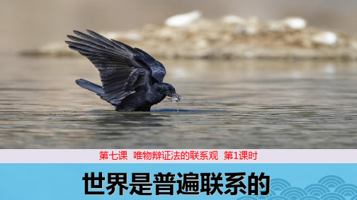 高中政治必修4优质课件3：7.1  世界是普遍联系的