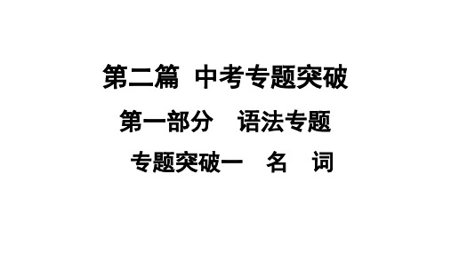 2021年中考广西专用英语专题突破1 名 词  课件