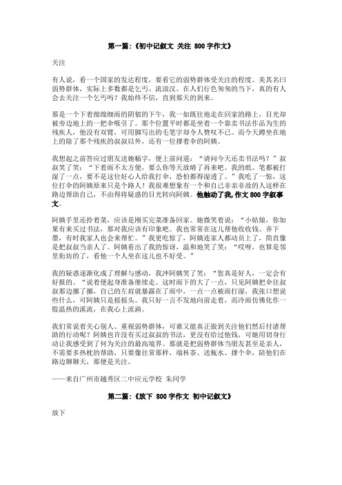 他触动了我作文800字叙事文