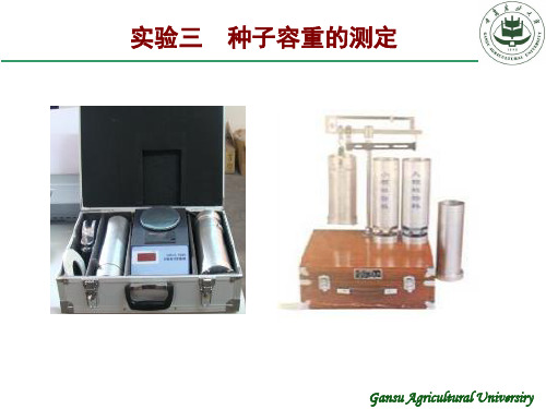 实验三  种子容重的测定