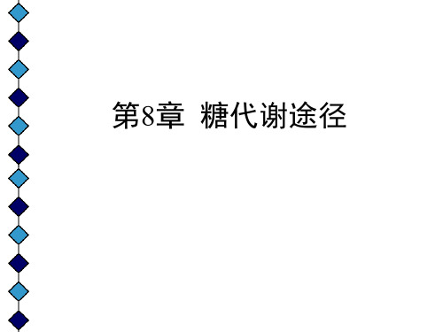 第8章  糖代谢途径