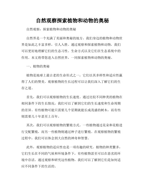 自然观察探索植物和动物的奥秘