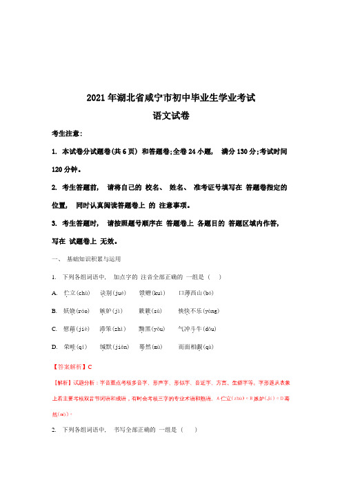 咸宁市中考语文试题(含解析)
