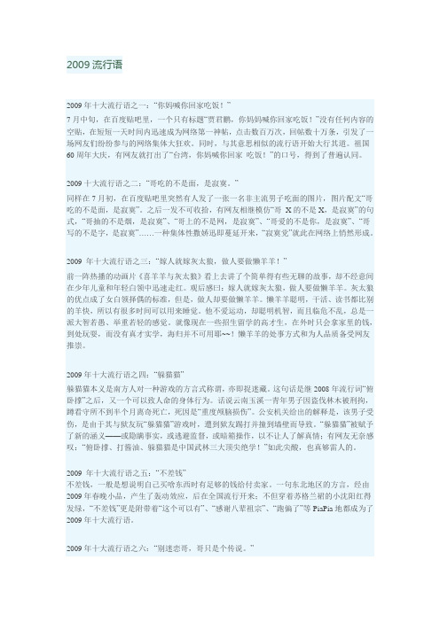2009流行语