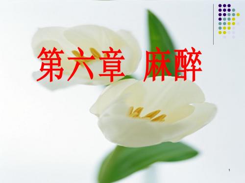 外科学-第六章 麻醉共79页文档