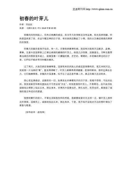 初春的叶芽儿