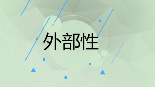 外部性ppt