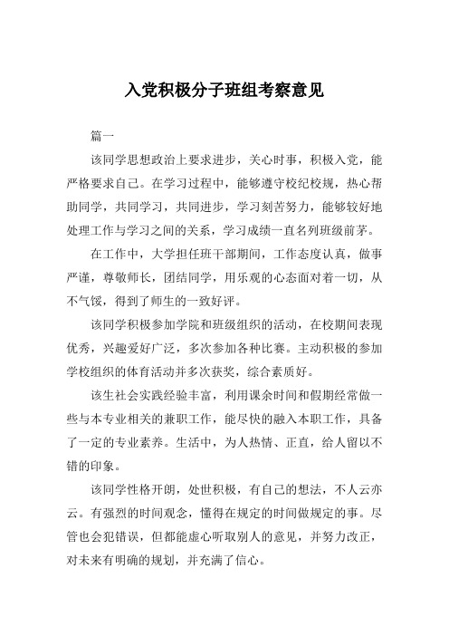 入党积极分子班组考察意见