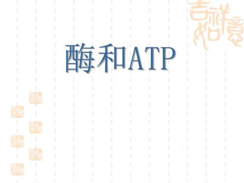 最新人教版高中生物必修一五章《酶和ATP》课件