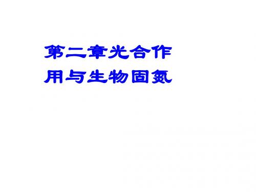 生物固氮