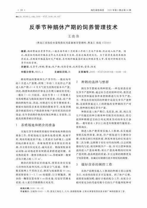 反季节种鹅休产期的饲养管理技术