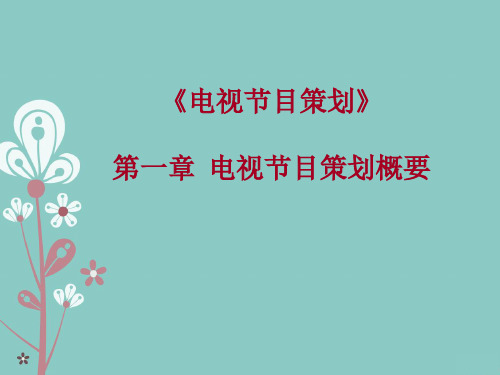第一章 电视策划概要